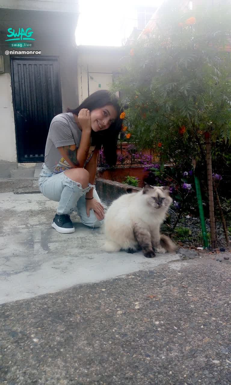 n********e : 🐱🐈