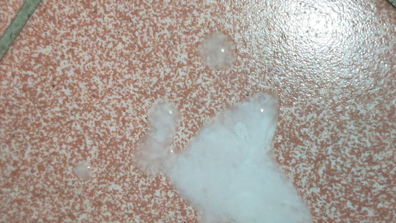 a*****y : 晨勃受不了就射了💦💦


💋❤喜歡的話 歡迎各位多多支持我🙇🙇🙇
   

      可以找我聊聊天嗎，我好無聊 沒人陪我😖


   好硬好硬