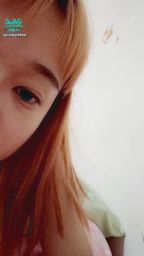 c*********a : 晚上的小時光