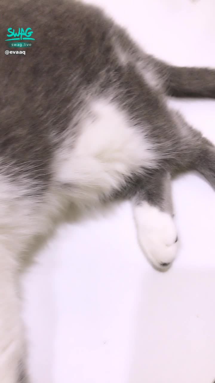  : you!
