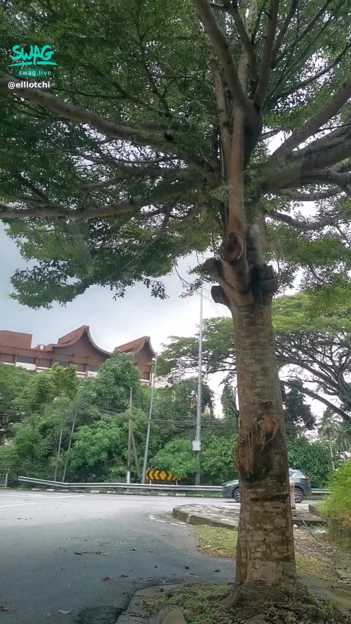 e*******i : 怎么能酱😭 下雨了啦😭