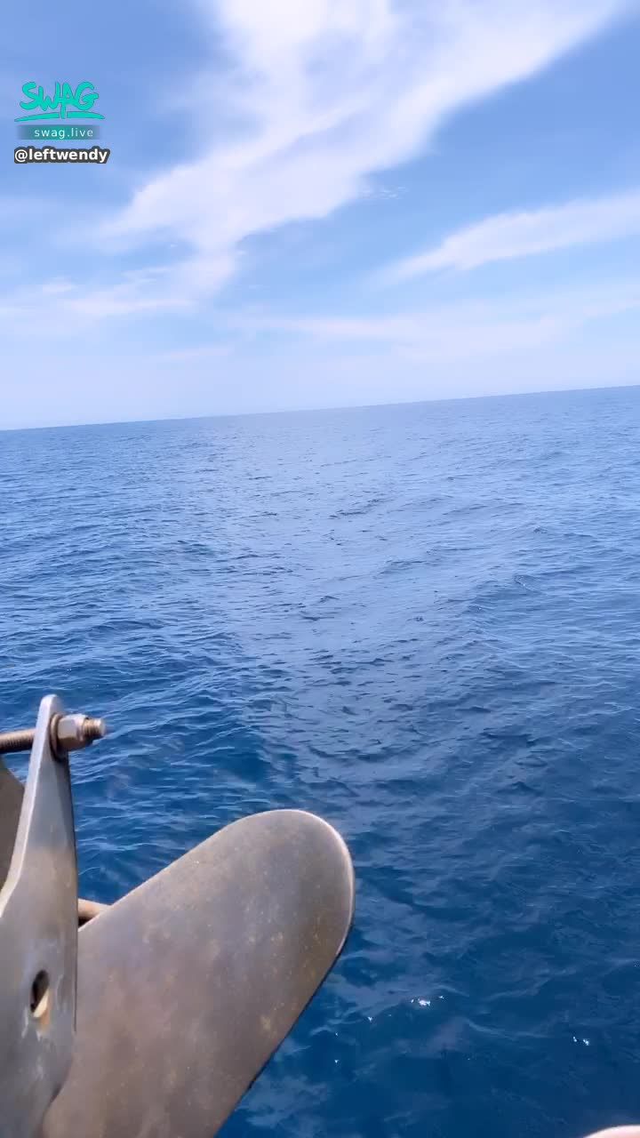 l*******y : 我的小短腿，
我在船頭做日光浴😂
走來這裡是極限了😭😭