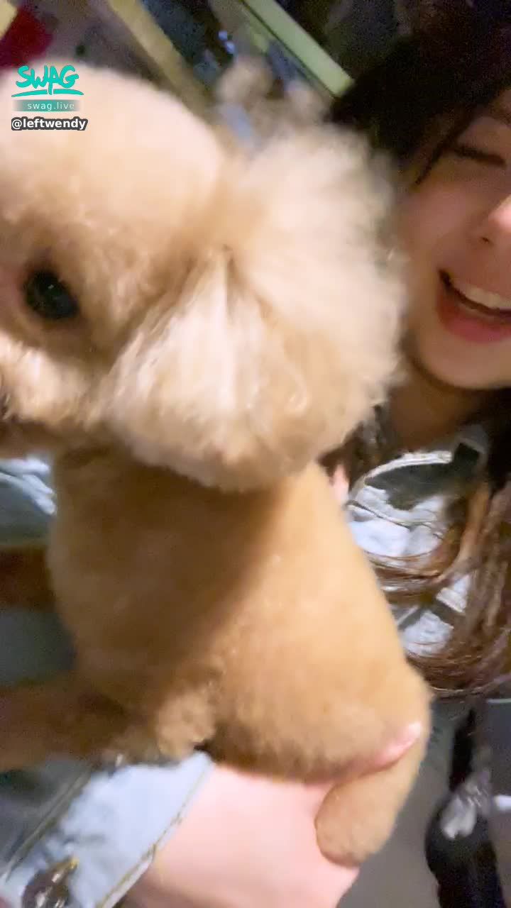 l*******y : 順利洗好香香的狗❤️
有沒有很可愛❤️