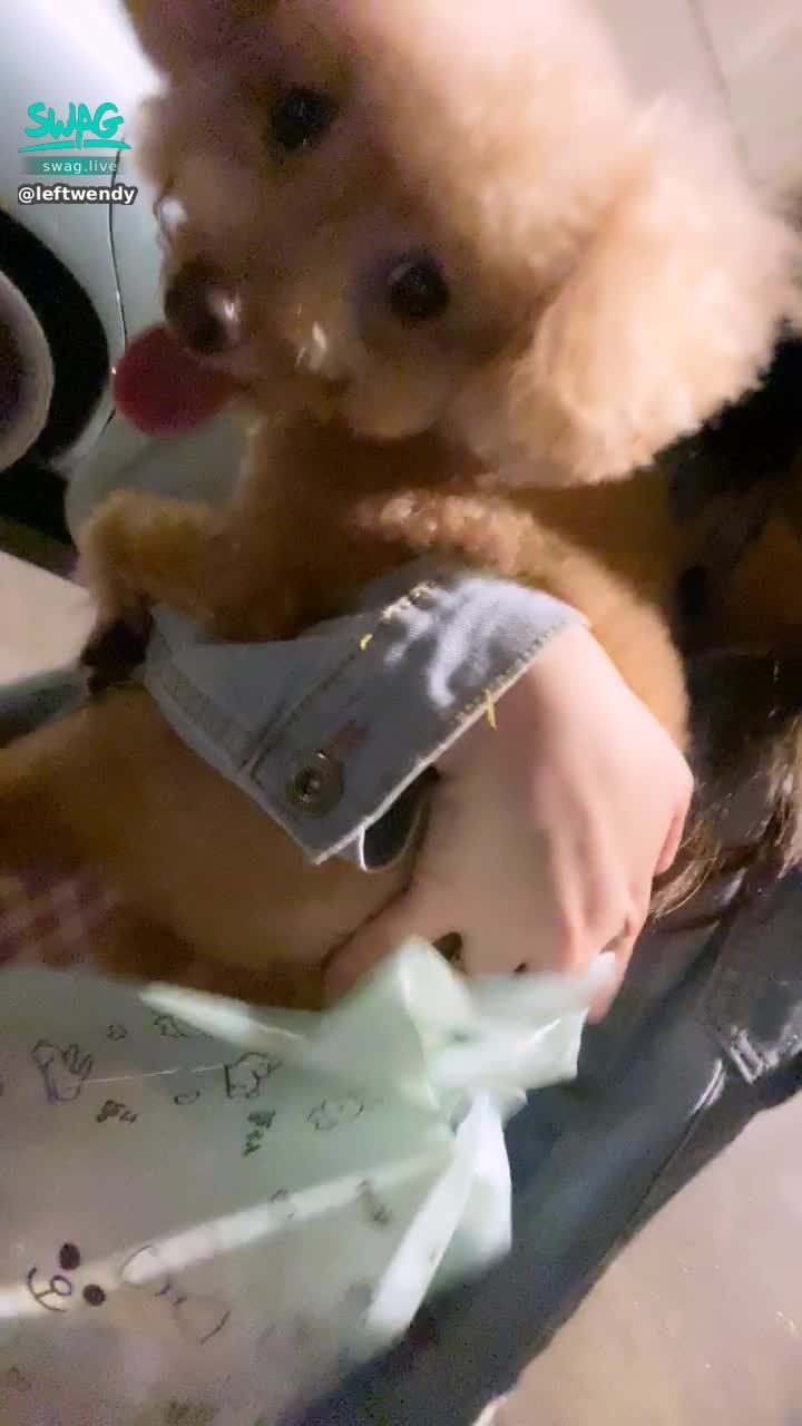  : my friend just came to see me
Brought a gift from our dog 😂
Ah, isn't today my birthday?
I'm jealous with dogs 😂😂😂