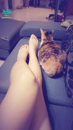 d*******y : ❤️戴安寶貝的慵懶星期六~我的美腿居然被貓嫌棄❤️