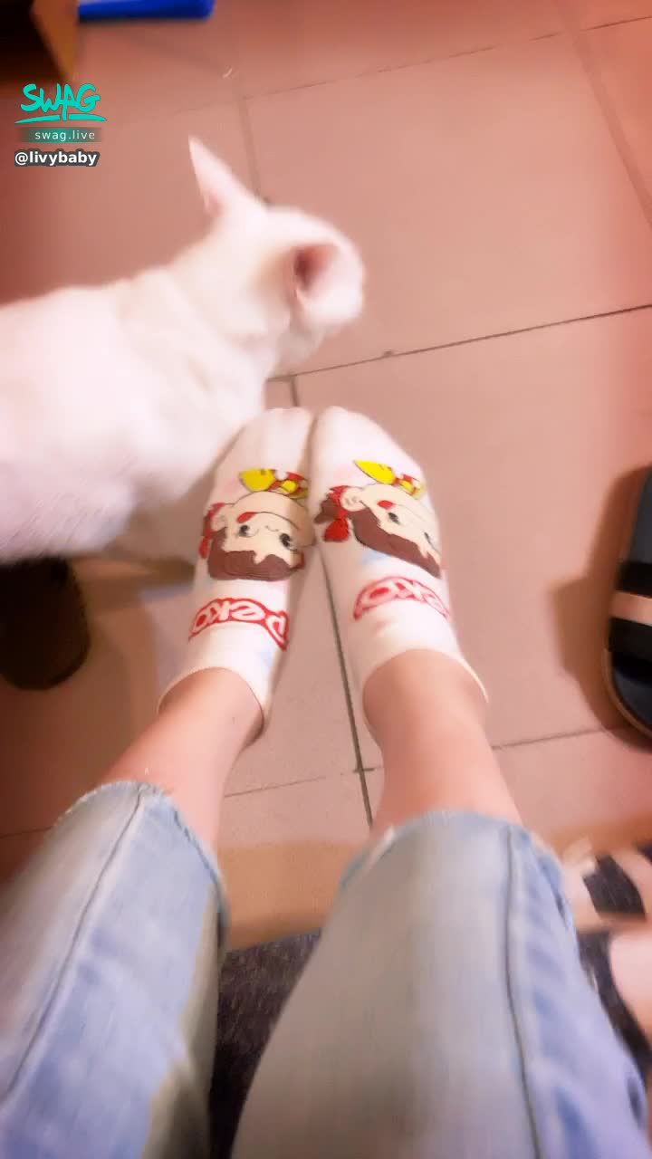  : 貓咪都奇怪的喜歡磨襪子🤔