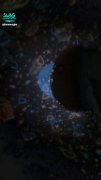 l*******e : 工作好累,要畢業好難,誰願意幫我填問卷(不能亂填我會審核,不會留太私密的個資,純粹圖案測驗)審核通過我就送你福利小影片