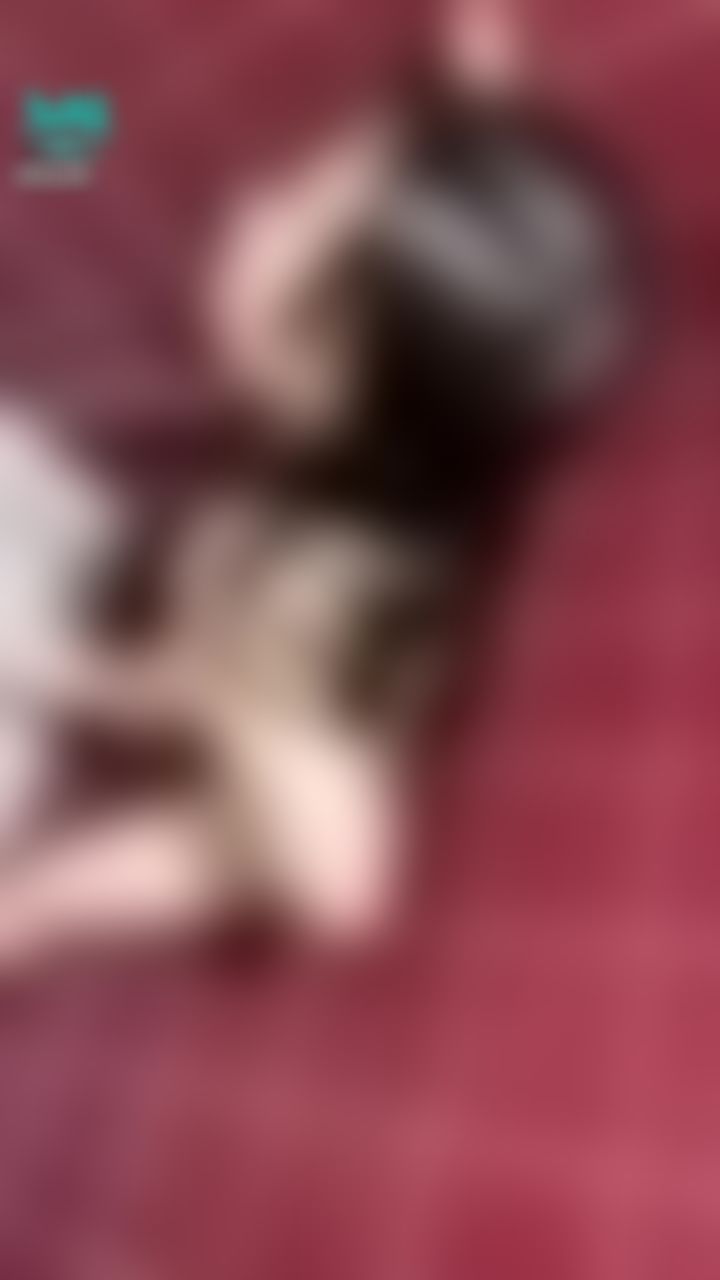  : 棒棒插進來了❤️想要哥哥用力撞🤭🤫