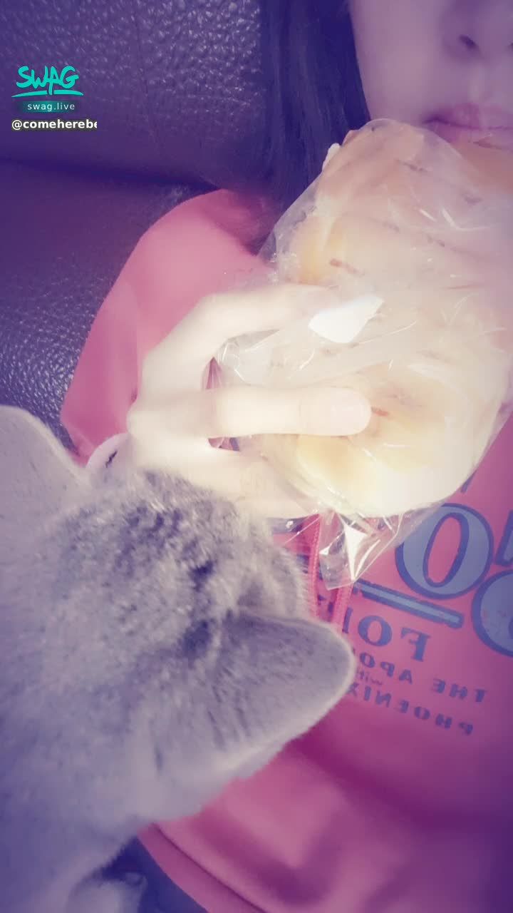  : 嗯……麵包好好吃……但妳不能吃