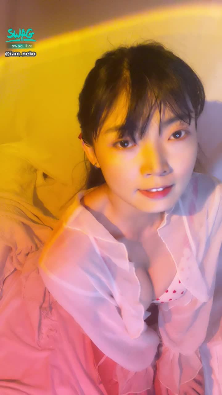 iam_neko : 晚上好！