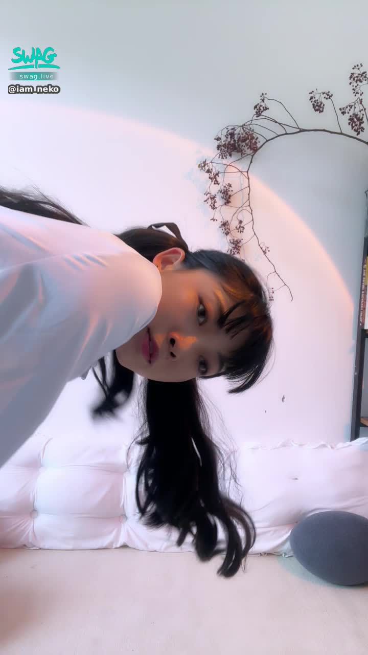 iam_neko : 突然出現！✨o✨