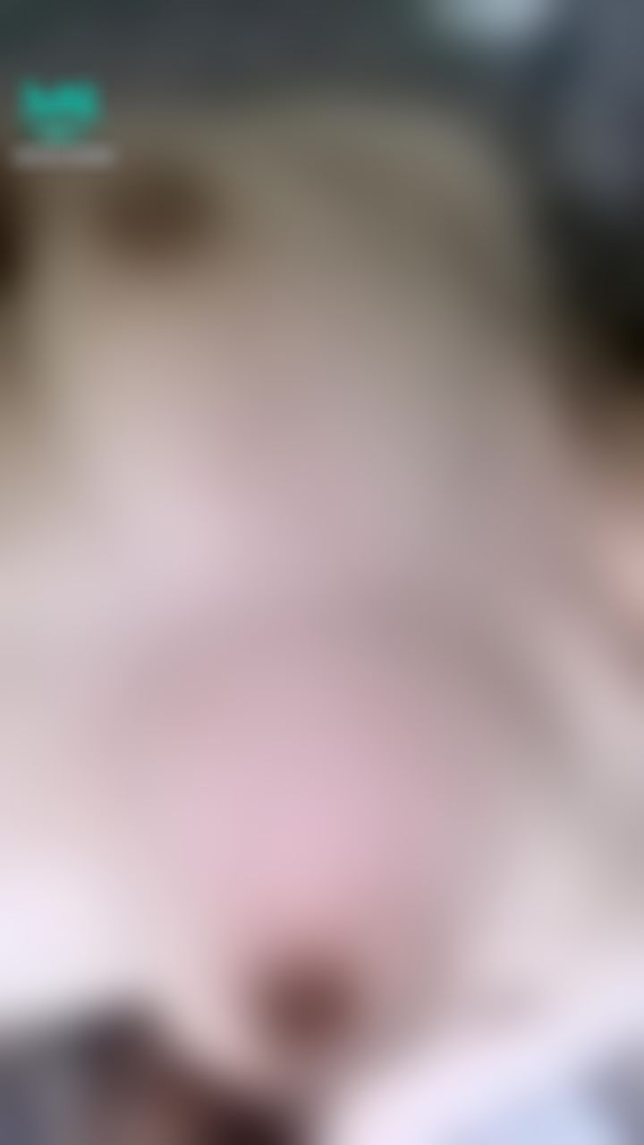 venusbebe : 臨睡前(part1)
長片全解鎖🔓有福利您懂的❤️😉

🚨首次以文字信息回覆私訊🔓解鎖新粉禮❤️
▶️文字信息1條換福利照1幅❤️
▶️發夠6條私訊解鎖即拍揉奶片1條❤️