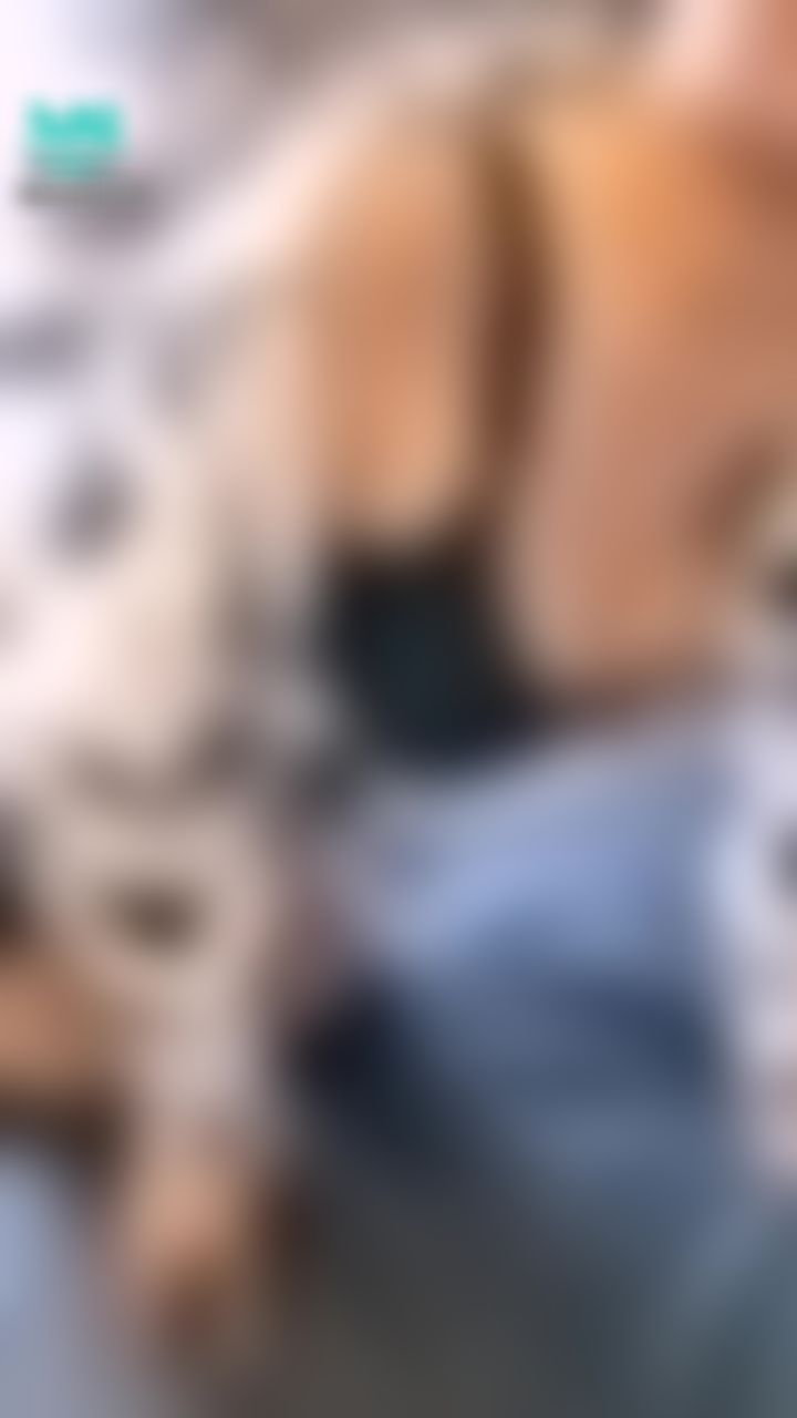 c********y : 