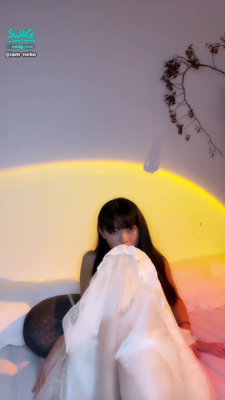 iam_neko : 看👀jiojio！