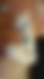 k****o : 這是狐狸白藍色的尾巴肛塞 直播的時候想看嗎