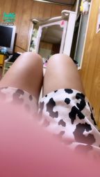 d****b : 累累的乳牛