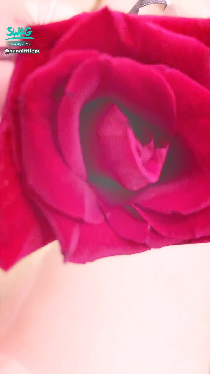 nanalittlepupy : 送你一朵玫瑰花🌹

知道一朵玫瑰的花語是什麼嗎？
你願意嗎？

✨✨✨✨✨✨

鑽石優惠倒數中
快來私訊我拿優惠
「我要通關密語」

✨✨✨✨✨✨

情人節限定🎁
贈送「豪華遊艇🛥️」

✨✨✨✨✨✨

有時候 想好好放鬆一下子的說
但這種時候就是會有一堆事情

最近想要規劃影片🎬
📃🧠但沒什麼想法
💡你們要給我點靈感嗎？