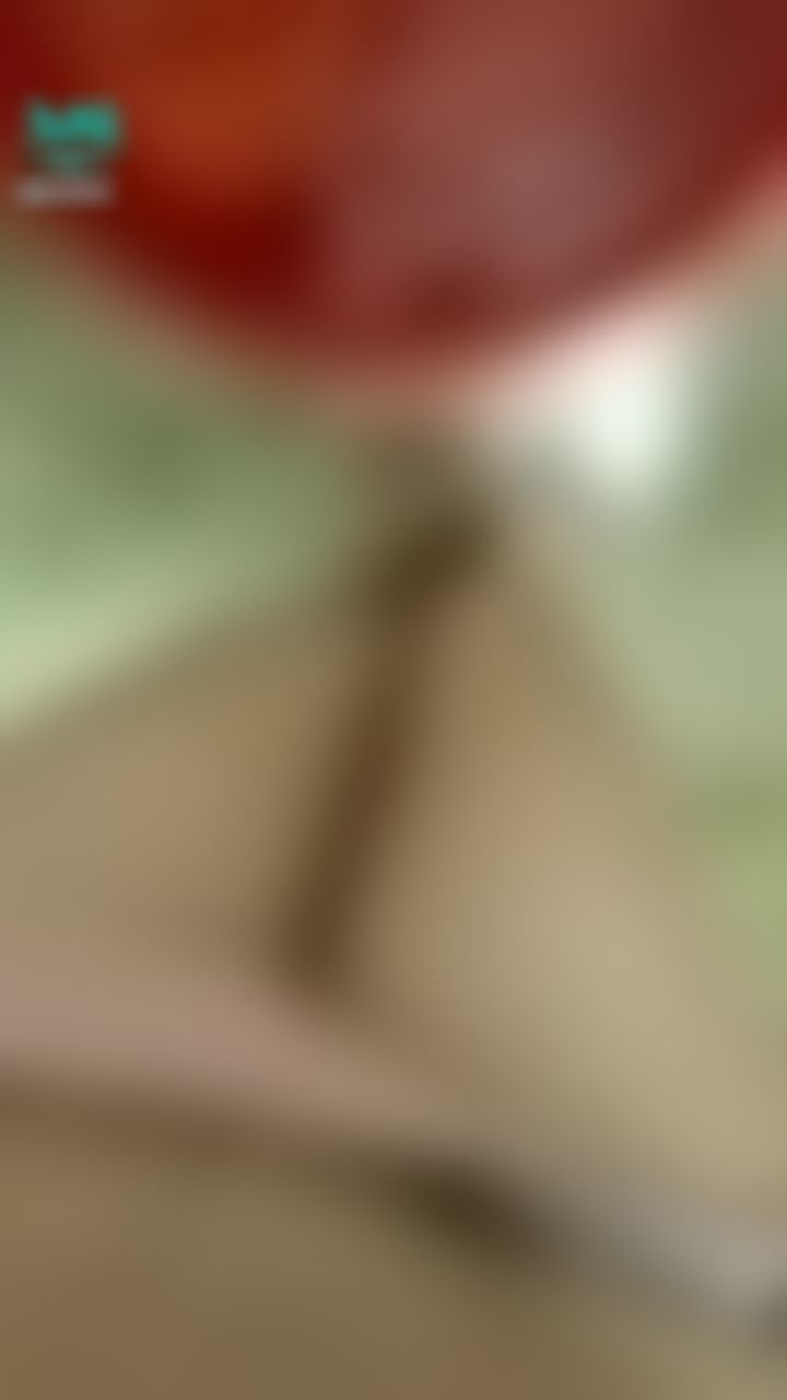  : 💦 既然哥哥那么爱看妹妹尿尿，那妹妹就多点尿给哥哥看🤭尿好黄🌝🌚 妹妹好累👉👈 需要哥哥的安慰🥲