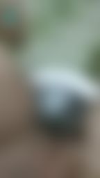 jenzhen : 💦 洗澡🛀后,白老虎的第一尿🔥🔥