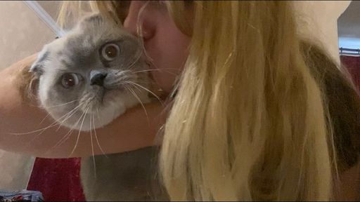n******a : My kitty and twerk 🔥