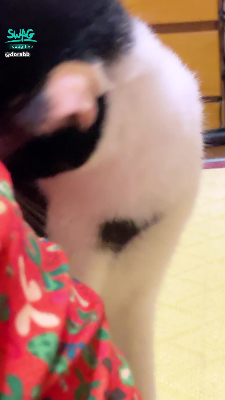  : 超黏人