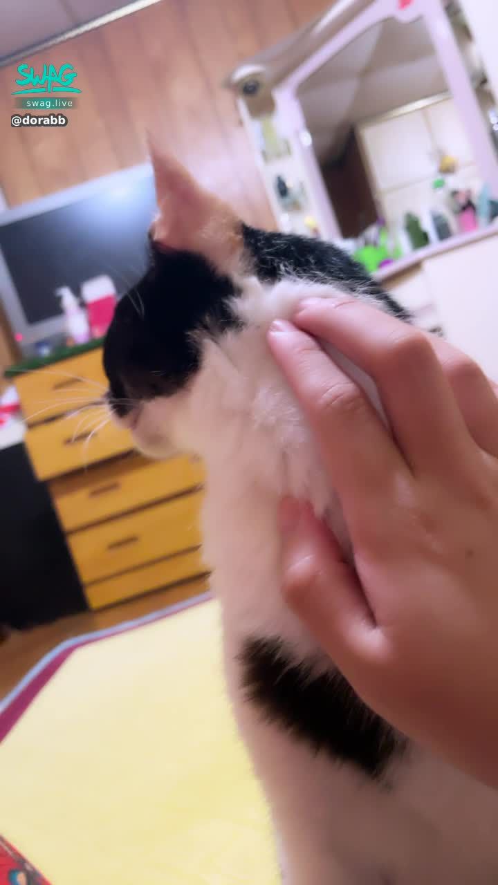  : 門突然關起來 他嚇到 好好笑