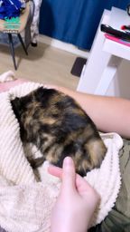 bobaby : 新養的寶貝女兒