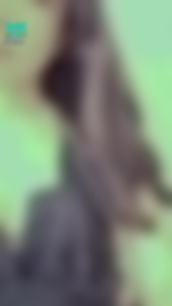janicee : 巴黎鐵塔睡衣💋想看照片或影片的請私訊我💋
鏤空編織出一座鐵塔🎀
側邊開衩的綁帶與蕾絲透出肌膚💙
bisou bisou💄