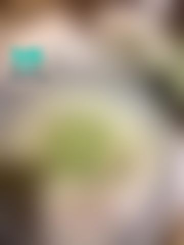  : 菲寶們～ 晚餐吃了嗎？ 人家現在才吃晚餐😆😆

NMS-0014]	下班到女同事家坐坐💗
https://5w.ag/4GmoeWbXGK2feHz96

任一部只要解鎖➕按好評👍
就可以找我領兩部現拍極致誘惑隱藏版喔

💛💛💛封面限定💛💛💛

ㄧ個✨高跟鞋✨禮物🉐️8⃣️部大尺露臉實戰隱藏版喔