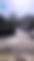 flowerstar : 小惡魔👿喜歡曬曬太陽🌞 你喜歡嗎?