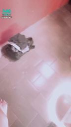 vavababy : 大學生淫亂宿舍10P⋯‼️大混戰⋯⋯‼️整個房間都是淫蕩的叫聲⋯⋯牆邊 床上 每一處都是淫蕩的畫面 酒後亂性 希望你們隔天醒來別後悔啊!