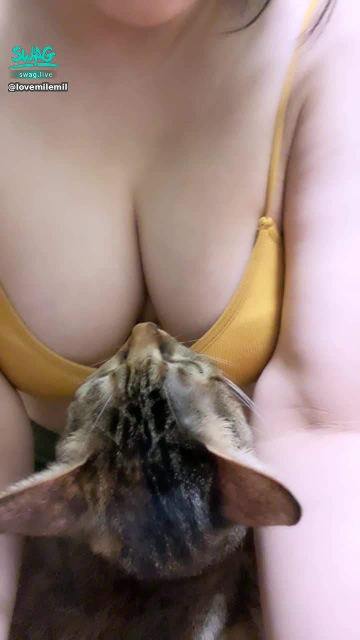  : cat 😘😘😘😘