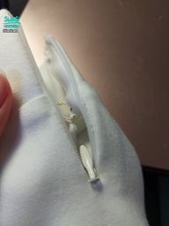 janicee : 網拍退貨期限只給三天寄回,也太短了吧,洋裝是因為拉鍊有瑕疵我才退貨的耶🥺