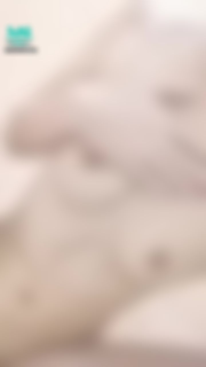 chichibabe : 全裸M字開腿騷騷，哥哥的小情人來了😙😙😙