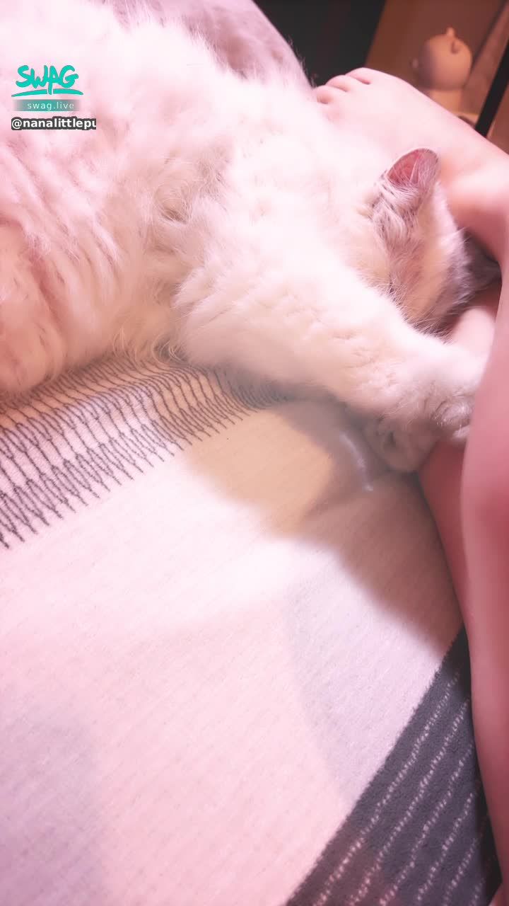 nanalittlepupy : ….是變態嗎？怎麼一直要我踩你啦😂