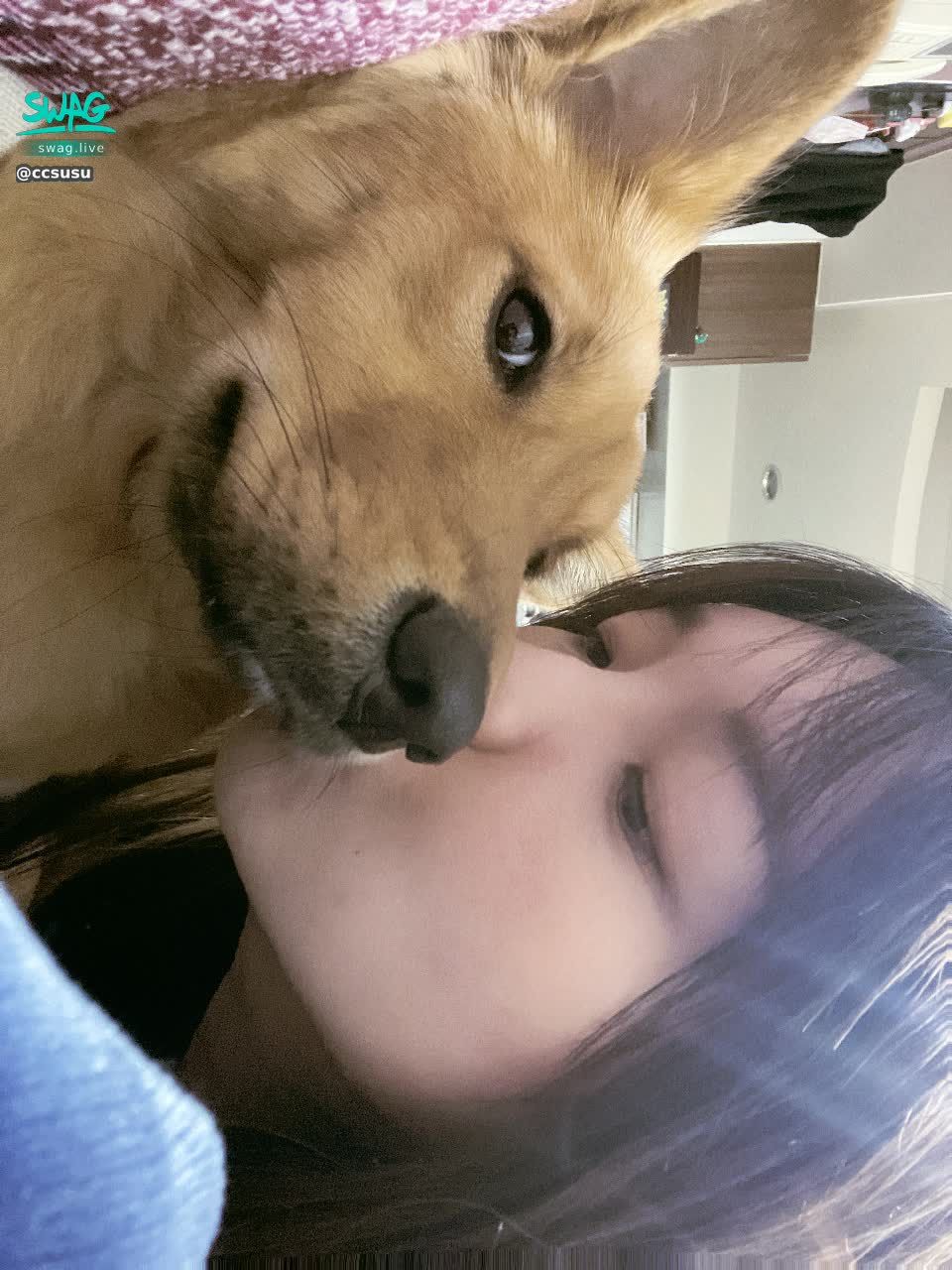 ccsusu : 今天是我的愛犬兒生日❤️❤️❤️
回覆「皮皮生日快樂」可🉐️隱藏版性感露臉照
-
本週通關密語快來找我領取‼️‼️‼️
💎最高享10%儲值優惠唷💎