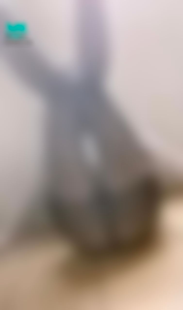 chichibabe : 別人都已經射出來了 你還傻傻的不解開來看

第一部射後再繼續吃肉棒
新內容再次打翻你對77的印象㊙️㊙️㊙️


快手刀解鎖🔓喜歡也77不要吝嗇給給讚💙💙
👇🏻👇🏻👇🏻👇🏻👇🏻
https://5w.ag/91jD49ZY2XBeVXKs6