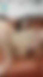 wanobaby : ⭐️娃諾來獻寶⭐️ SWAG獨家流出 國產淫娃被挖穴挖得不要不要表情超淫蕩的長髮氣質淫娃⚠️瘋狂浪叫快尿出來淫騷超爽🔞🔞🔞