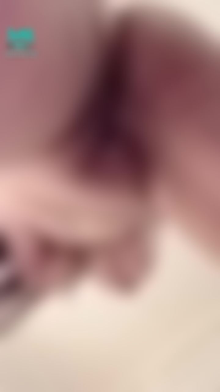 kathyicup : 跨坐在男生臉上自慰揉奶，讓他從底下看著我的鮑鮑、渾圓的屁蛋、飽滿的大奶子⋯淫水滴在他臉上，喜歡嗎？想要我這麼對你嗎？😈💦🍆👅🔞

#爆乳 #巨乳 #露點 #肉感 #大腿 #揉奶 #一線鮑 #屁蛋