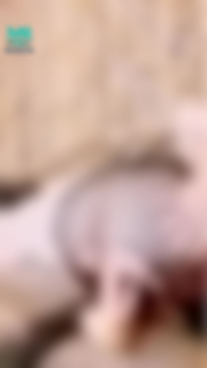  : 🔥昨晚直播video🔥背後式狂插😈
沒跟到的快解鎖收藏❗️邊打翹臀邊抽插嫩穴‼️
怎麼水水邊滴啦⋯誰來幫人家舔乾淨⋯⋯

#OL #絲襪 #背後式 #抽插 #一線鮑 #嫩鮑 #蜜穴 #🍑屁屁 #翹臀 #美尻 #翹屁股 #粉嫩 #稚嫩 #淫蕩 #情色 #誘惑 #小隻馬 #白皙 #hot #sexy #尤妮 #yuni #yunibabe