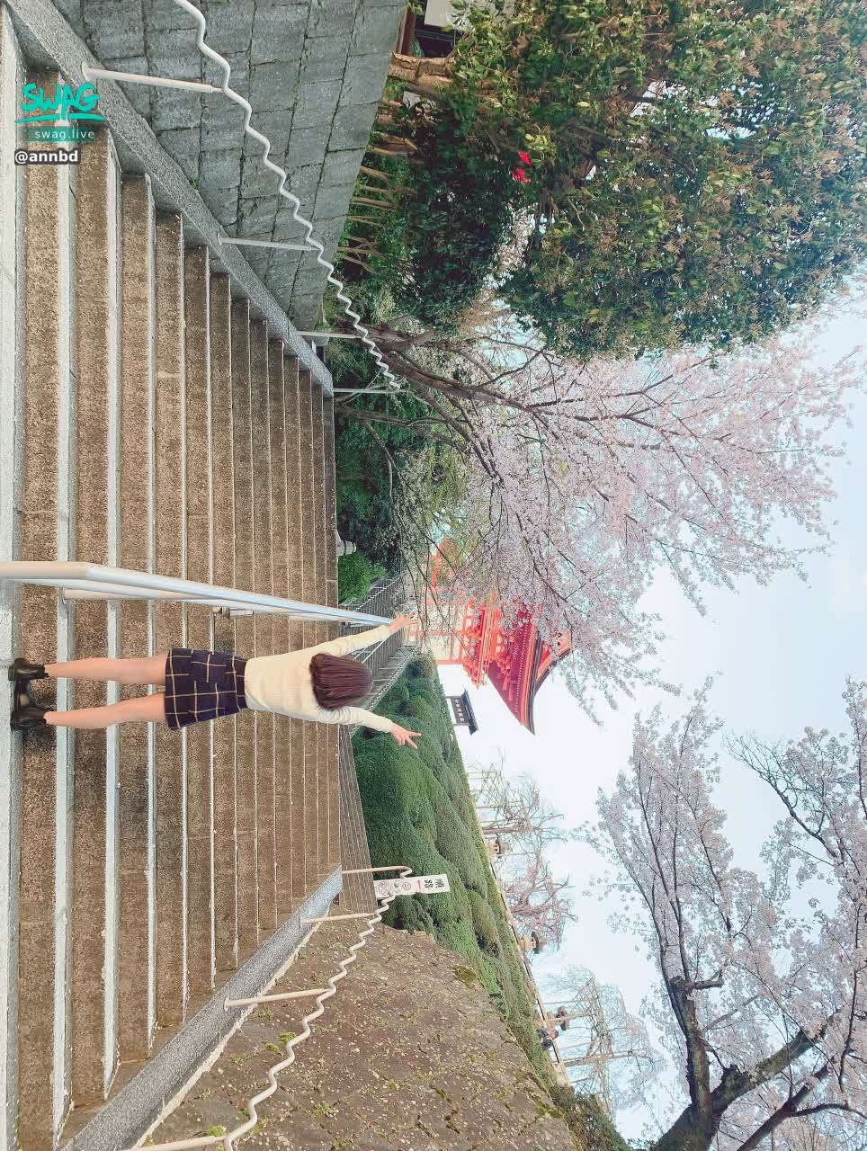 annbd : 四月的日本還在看櫻花
好想出國玩怎麼辦🥺