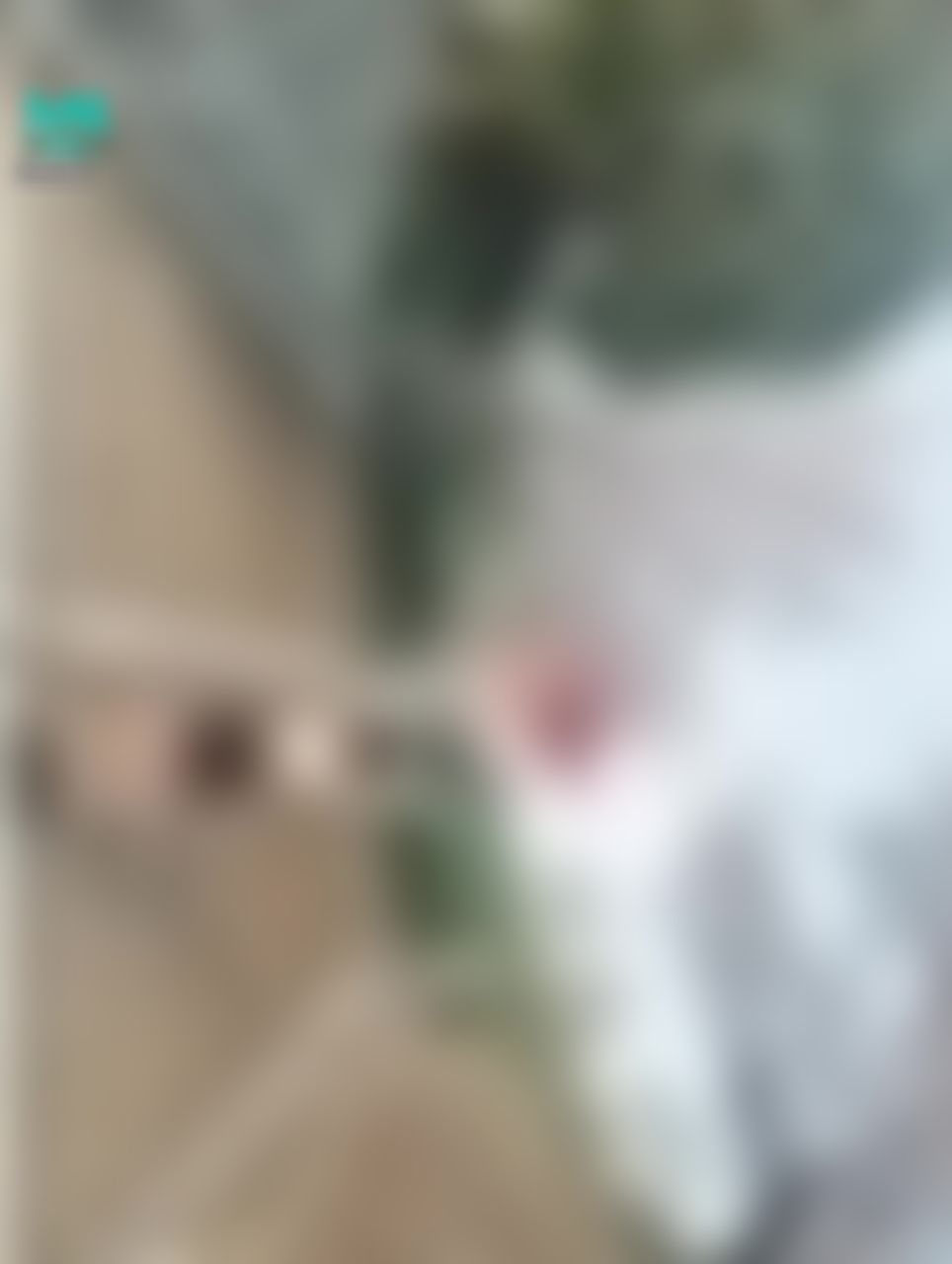 annbd : 四月的日本還在看櫻花
好想出國玩怎麼辦🥺