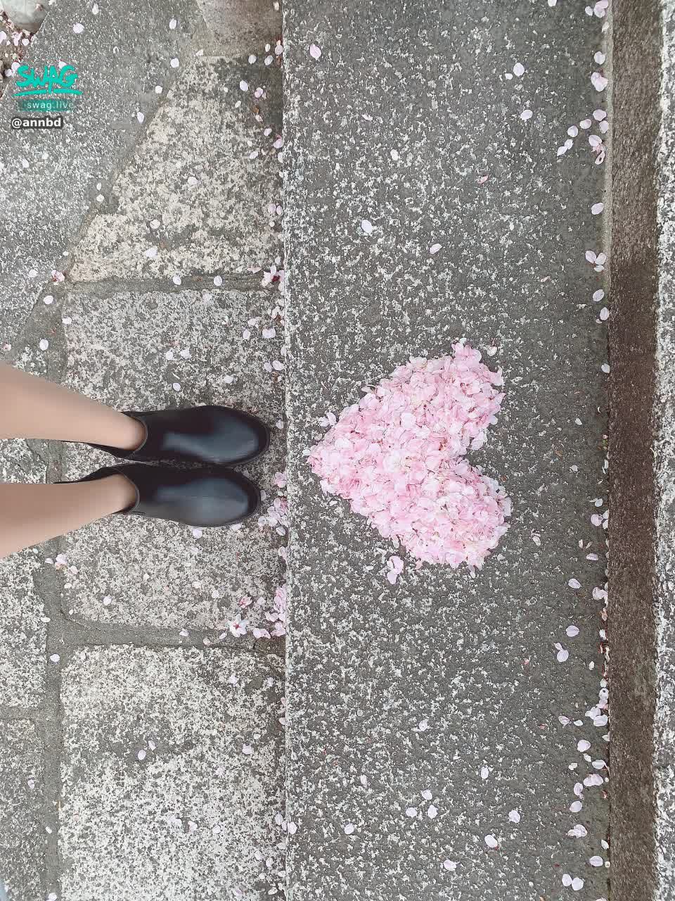annbd : 小習慣 去到哪都要擺個花瓣愛心