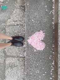 annbd : 小習慣 去到哪都要擺個花瓣愛心