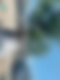annbd : 所以隔年我就帶著然然來我大推的神社😜😜😜😜
好啦這個神社最大的特點其實是超毒舌🤣
這天抽的籤上面寫著「いやなら、辞めたら」
如果討厭,那就放棄
直接被笑瘋
哪有人這麼任性的🤣🤣🤣🤣