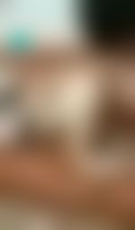wanobaby : ⭐️娃諾來獻寶⭐️ swag超珍貴初次露出🈲本土小淫娃大開屁眼洞‼️🈲小菊花被攪得超爽‼️ 一邊挖弄屁眼邊淫叫🔊🔊🔊聲音大