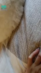 loveevelyn : 你看臭妮😺睡成這個樣子啦~~~~
笑死,好療癒🤗🤗🤗