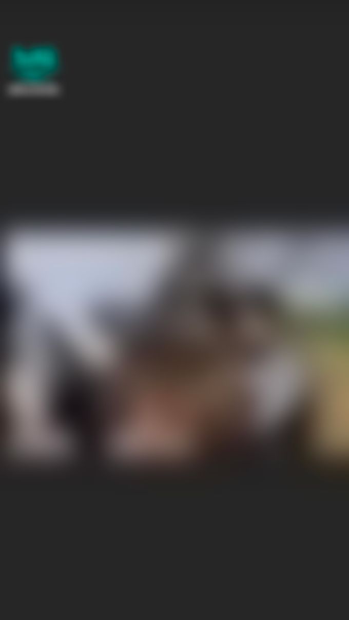 bershuka : 🔞茉茉優質長片推薦🔞激情辦公室‼️大主管在辦公桌上幹了他的小秘書‼️

《中文字幕》OL小秘書在加班時被大主管叫進了他的辦公室，大主管追問案子進度，OL小秘書為了幫大主管紓解工作壓力，在辦公室內幫大老闆做舒壓體操，用肉身來服務！❤️㊙️

👇🏻傳送門👇🏻
https://5w.ag/ZVYZZVBzs6eNaX9L8

哥哥們上班辛苦了💦睡前快來解鎖茉茉長片！❤️
解鎖茉茉長片🔓按讚👍+截圖，濕訊茉茉長片通關密語：“激情辦公室”即🉐️隱藏版淫片禮！