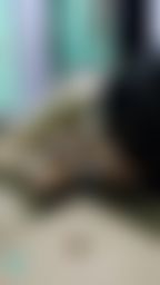 alicelovelp : #口爆 #口交