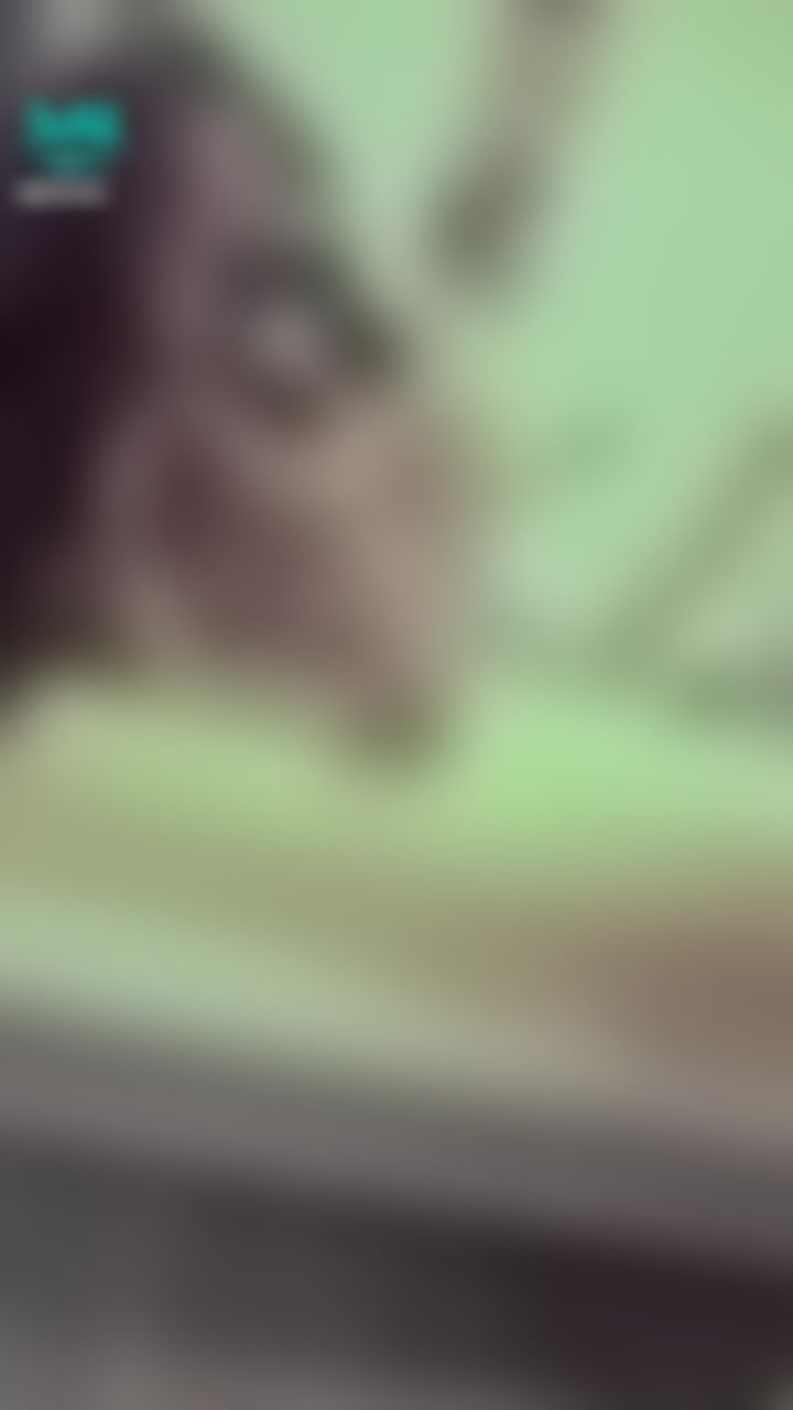 janicee : 趴在床上♥️
前傾時的春光外洩⭐
無限美好😈
細肩帶絲質睡衣💋
蝴蝶結與深V蕾絲🎀
silky💓
#長髮 #黑髮 #貼身 #性感 #低胸 #短裙 #長腿 #美腿 #赤腳 #裸足 #細肩帶 #乳溝 #美足 #鎖骨 #sexy #蕾絲 #指甲油 #緞面 #黑框 #粗框 #眼鏡
